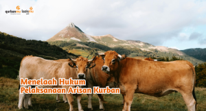 thumbnail artikel web (2)